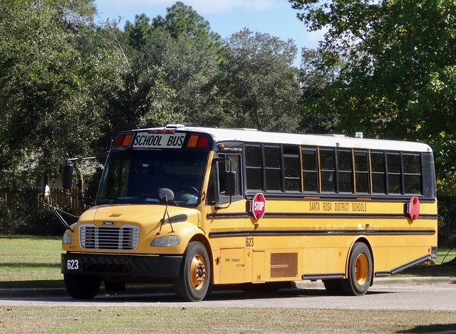 školní autobus.jpg