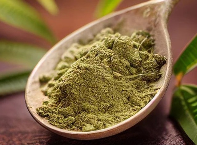nabraný kratom